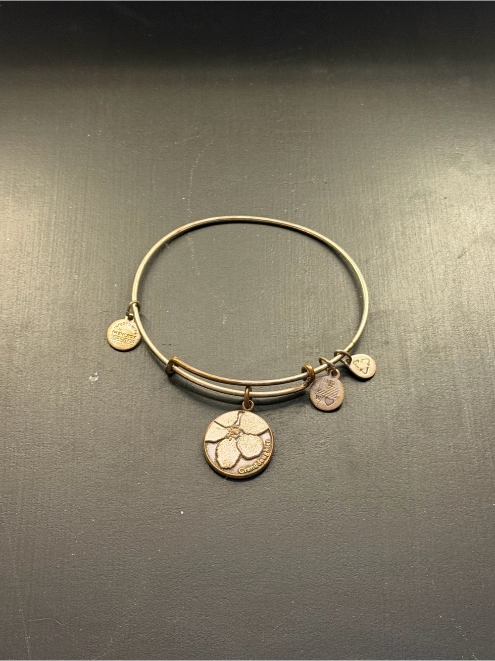 Alex and Ani Silver-Tone Granddaughter Floral Charm Expandable Bangle Bracelet